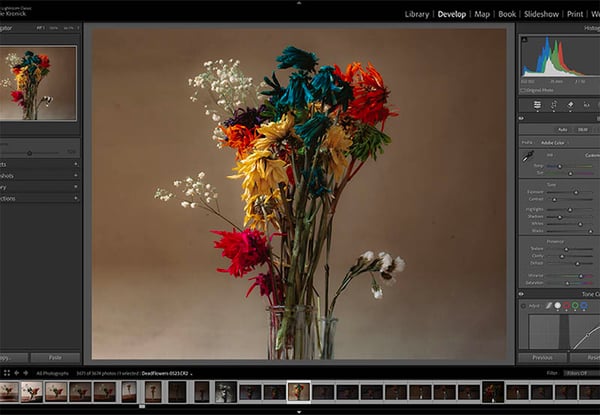 Photoshop vs. Lightroom: What Is the Difference?